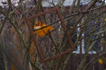 a brown wooden frame hangs on the branches of a tree against a background of yellow maple leaves
