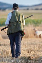 senior hunter with dog hunting quail