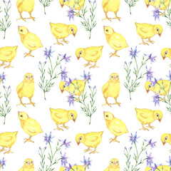 Chiken pattern watercolor. Watercolor cute animal.  Watercolor cute bird. Hand painting  isolated white background. birds. 