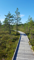 Fototapeta na wymiar estonia landscape nature trail national park