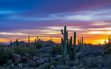 Wide Ratio Desert Sunset Landscape View Scottsdale AZ