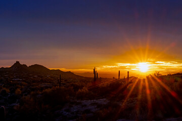 Naklejka na ściany i meble Sun Star Sunset Landscape In North Scottsdale AZ