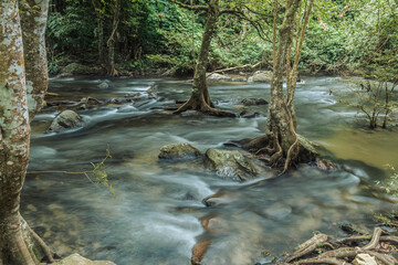 Landscape of a small stream in klong Lan national park of Thailand