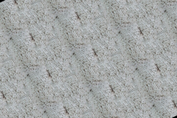 wood bark pattern texture backdrop