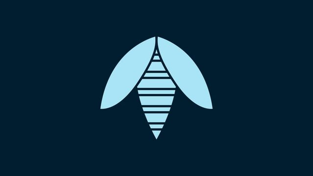 White Bee icon isolated on blue background. Sweet natural food. Honeybee or apis with wings symbol. Flying insect. 4K Video motion graphic animation