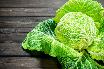 Fototapeta premium Ripe green cabbage.