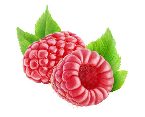 Two raspberries cut out