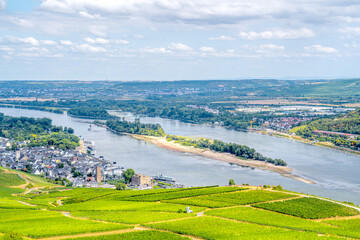 Obraz premium Blick über den Rheingau, Ruedesheim, Hessen, Deutschland 