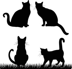 Beautiful Cats Sitting On Grass 