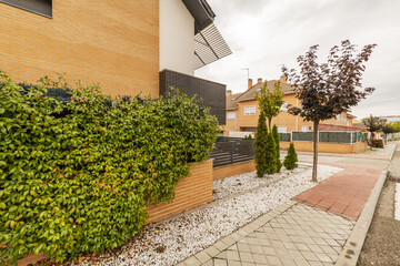 Street in a residential neighborhood of single-family homes with trees and gardens in pots