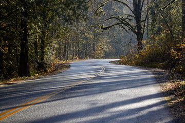 Fototapeta premium Road and its autumn trees