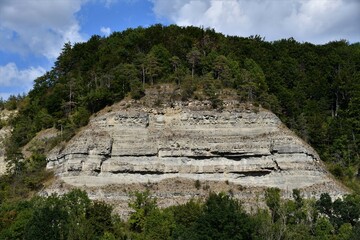 Fototapeta na wymiar Felswand im Naturschutzgebiet Ebenauer Köpfe und Wisch in Creuzburg / Thüringen