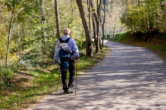 Rear view of senior man walking on road in forest