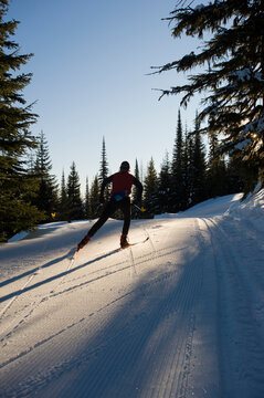 A skate skier works her way up the freshly groomed trails on an early morning skate session.