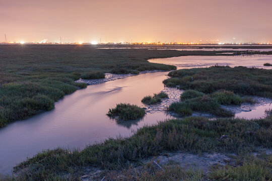 Restored Marsh, Former Salt Pond with city in background, Eden Landing, Hayward, California, USA
