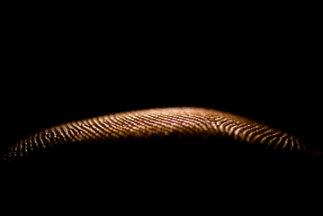 Close up of the friction ridges on the pad of a finger in San Diego, California.