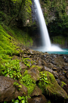 A tropical waterfall crashes down into creek bed (Blurred Motion)