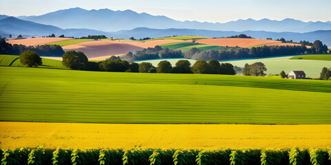 Obraz premium farm in farmland with a field of flowers and mountains in the background, with rolling hills and immaculate rows of crops.