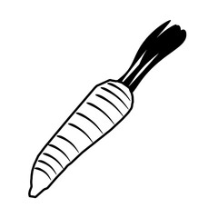 Carrot simple line icon. PNG illustration isolated on transparent background