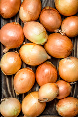 Fresh ripe onions.