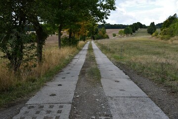 Obraz premium Alter Kolonnenweg an der DDR-Grenze