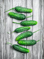 Ripe fresh cucumbers.