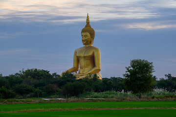buddha statue