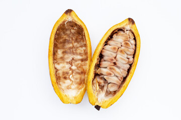Cocoa fruit isolated on white background
