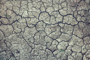 cracks on the ground desert texture background earth climate ecology