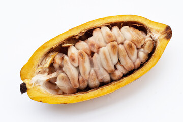 Cocoa fruit isolated on white background