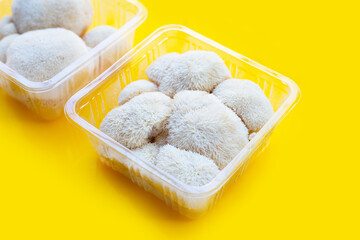 Fresh lion's mane mushroom on yellow background.