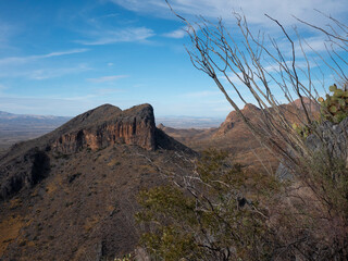 A rocky desert mountain with exotic plants in foreground