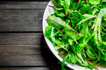Healthy salad. Arugula salad in a bowl.