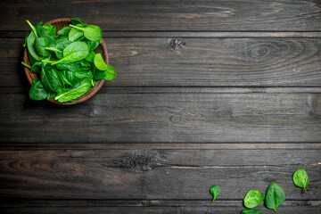 Fresh spinach in the bowl.
