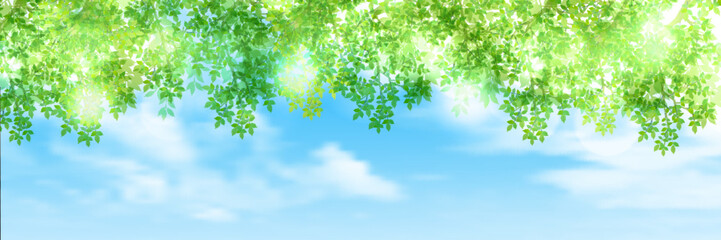 新緑　葉　風景　背景
