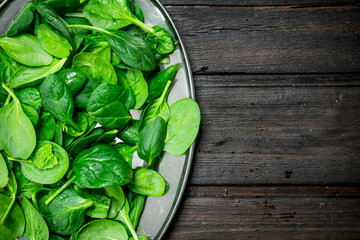 Green spinach on tray.