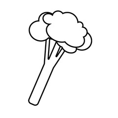 Broccoli simple line icon. Vector illustration isolated on white background.