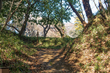 Fototapeta premium 滝沢城跡の本丸虎口【国指定史跡】／Inner citadel entrance of Takiyama Castle ruins / , Hachioji City, Tokyo, Japan