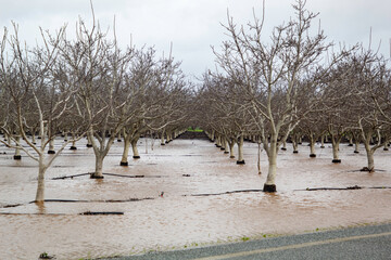 Farm land flooding