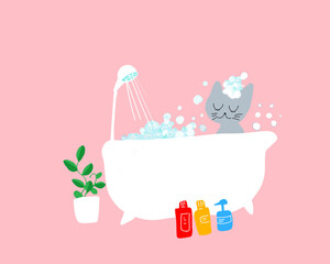 猫のバスタイム