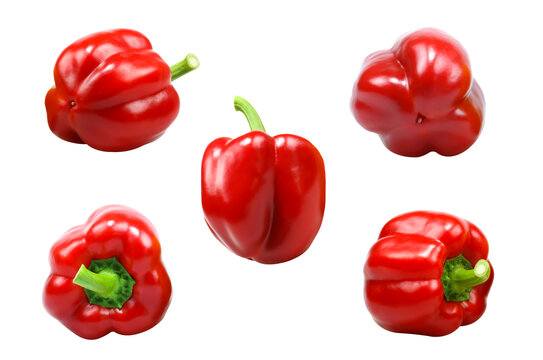 Colorful bell pepper isolated on transparent background png file	