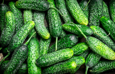 Whole fresh cucumbers.