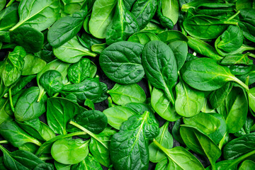 Fresh green spinach.