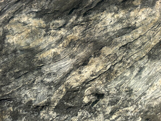 Rock, stone, textured. Background for design.