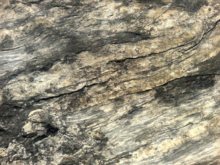 Rock, stone, textured. Background for design.
