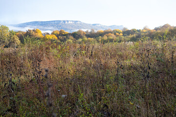 Fototapeta premium autumn in the highlands, the state of nature in a lyrical mood, the colors and colors of an autumn day, nature walks.*