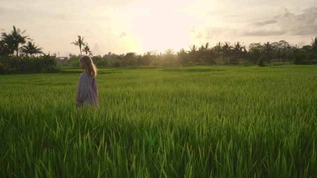 Happy teenage girl walks among the rice fields at sunset. She have a lot of fun, enjoying the beauty of nature and bright colors. 4K