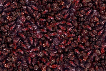 Background full of cranberries. Seamless cranberry backdrop.
