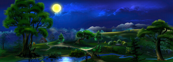Fototapeta na wymiar Moonlit summer night in the park illustration