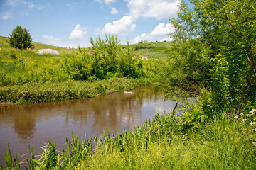 River in nature in summer.